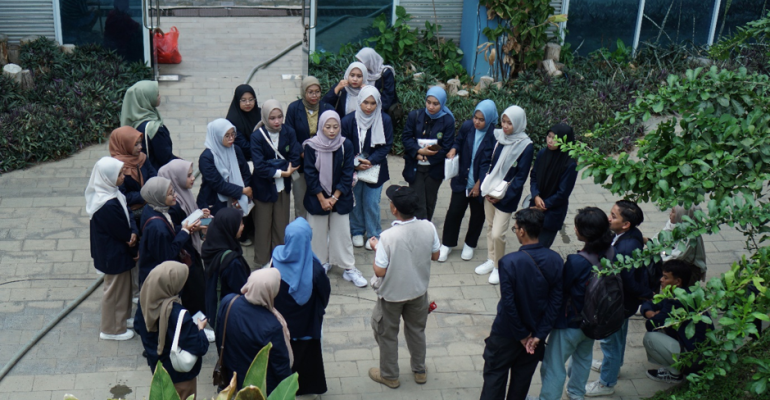 gambar